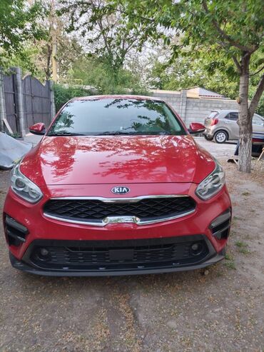 Hyundai: Kia K3: 2018 г., 1.6 л, Автомат, Бензин, Седан