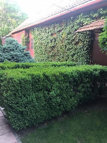 Продажа коттеджей и домов: Продаётся 2-этажный дом мансардного типа в тихом и зелёном районе — 6