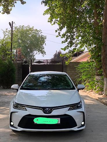 карол: Toyota Corolla: 2019 г., Вариатор, Гибрид, Седан — 1