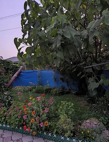 Продажа коттеджей и домов: Продаётся уютный дом площадью 67 кв.м на участке размером 4,9 соток — 5