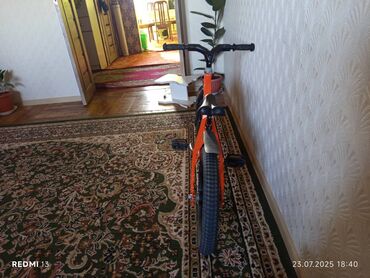 домик игровой: Балдар үчүн велосипед, 2 дөңгөлөктүү, 3 - 4 жаш, Бала үчүн, Колдонулган