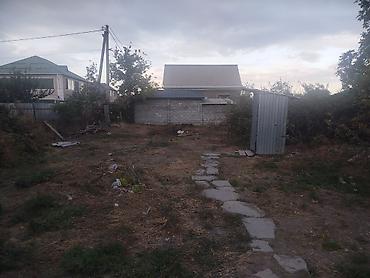 Кыймылсыз мүлк: 4 соток, Кызыл китеп — 2
