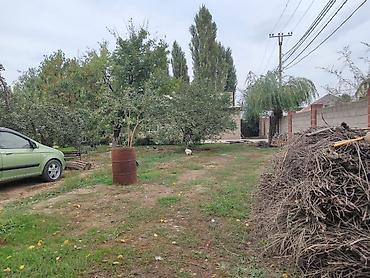 Жер тилкелерин сатуу: 12 соток, Курулуш, Кызыл китеп, Техпаспорт, Сатып алуу-сатуу келишими — 8