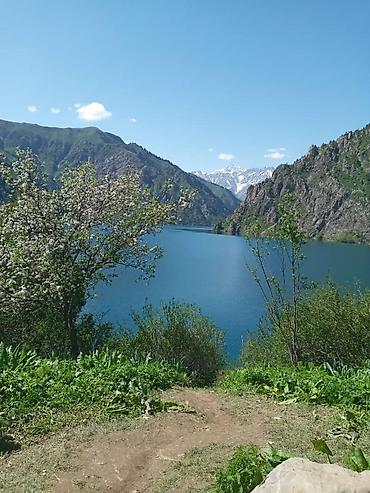 Долгосрочная аренда комнат: 12 м², С мебелью — 10