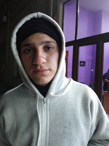 pulsuz itlər: Zvonok, 1 ay, Dişi, Cütləşmə üçün, Pulsuz çatdırılma