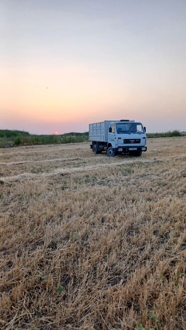 Грузовики: Грузовик, MAN, Дубль, 7 т — 8