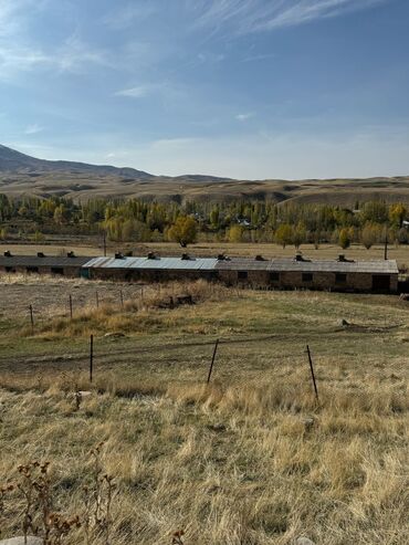 Продажа участков: 130 соток, Для бизнеса, Красная книга, Тех паспорт, Договор купли-продажи — 6