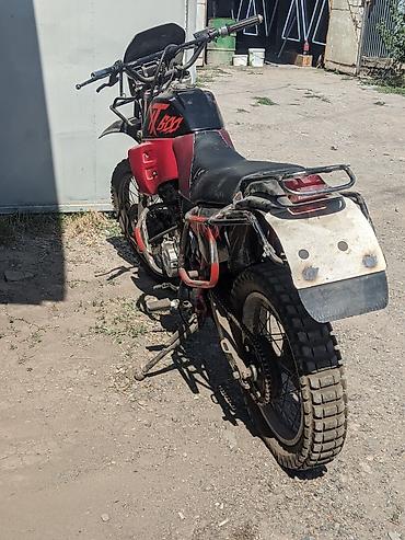 Мотоциклы: Эндуро Yamaha, 250 куб. см, Бензин, Взрослый, Б/у — 2