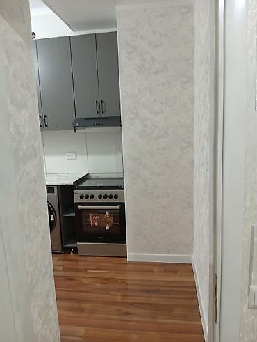 Кыймылсыз мүлк: 1 бөлмө, 44 м², Элитка, 1 кабат, Жаңы ремонт — 5
