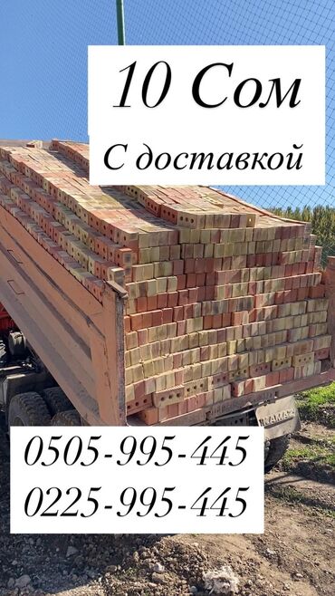 зерно кофе: Пустотелый, дырчатый, Жженый кирпич, Полублок, 250x120x88