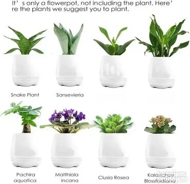 Zvučnici i stereo sistemi: *** AKCIJA *** #2290 SAKSIJA Bluetoth zvučnik Smart Music Flowerpot – — 11