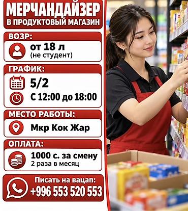 мерчендайзер работа: Требуется Мерчендайзер, График: Пятидневка, Неполный рабочий день, Обучение — 1