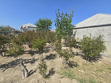 Torpaq sahələrinin satışı: Tikinti, Mülkiyyətçi -da lalafo.az — 8 Torpaq sahələrinin satışı: Tikinti, Mülkiyyətçi — 8