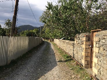 Daşınmaz əmlak Balakənda: Satış 8 sot
