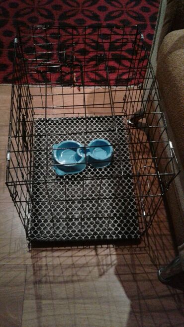 Qəfəslər: Xamyak ucun Qefes satilir qiyməti 25 azn bashqa qefeslerde var -da lalafo.az — 13 Qəfəslər: Xamyak ucun Qefes satilir qiyməti 25 azn bashqa qefeslerde var — 13