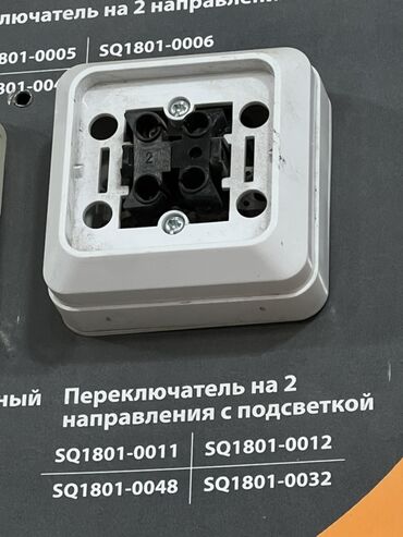 меняю на 07: Переключатель на 2 направления с подсветкой (серия SQ1801) Описание