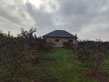 bag evi kirayə gunluk: 15 sot, Tikinti — 2