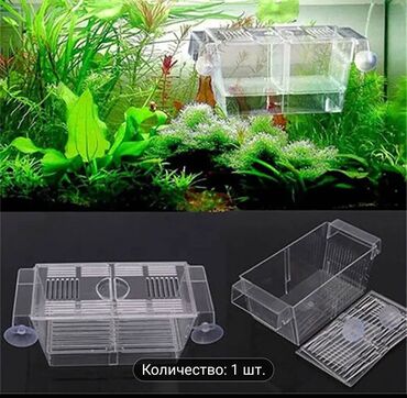 купить аквариум в баку: Akvarium aksesuari
Ikisi bir yerde 35 azn