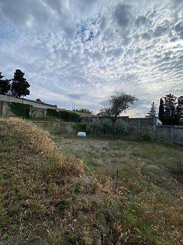 buzovnada torpaq: 20 sot, Tikinti, Mülkiyyətçi, Kupça (Çıxarış) — 3