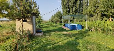 Сельхоз предприятия: Продается Кашара Фермерское- хозяйство с действующим бизнесом и с — 8