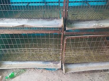 Товары и оборудование для с/х животных: Трëхярусная клетка для содержания перепёлок/цыплят - Конструкция — 8