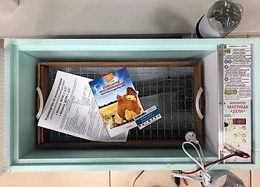 Инкубаторы: Мини Инкубаторлор Сатылат Ошго Доставка БишкекРоссия Инкубаторлор — 5