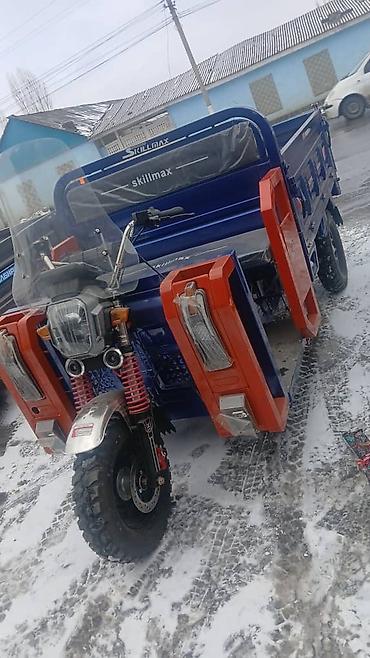 Легкий грузовой транспорт: Легкий грузовик, Новый — 6