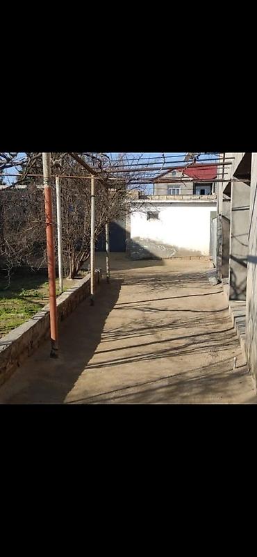 Torpaq: 12 sot, Tikinti, Makler, Kupça (Çıxarış) — 4