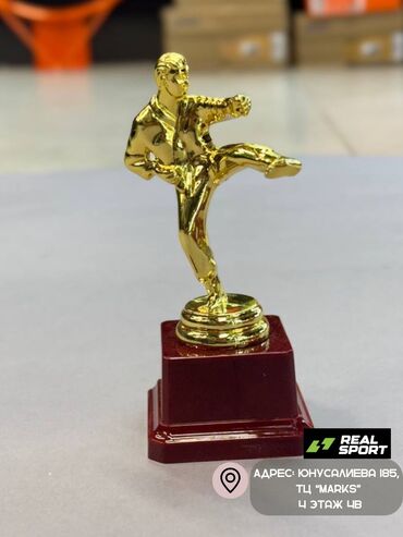Другое для спорта и отдыха: Кубки, статуэтки, номинации. Золотые кубки, статуэтки, номинации, а — 7