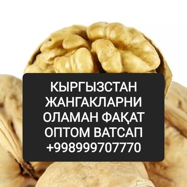 кап ореха купить: Грецкий орех оптом оламан мен билан боғланиш учун ватсапдаги номерга