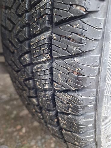 Subaru: Subaru Forester: 2006 г., 2.5 л, Автомат, Газ, Универсал — 10