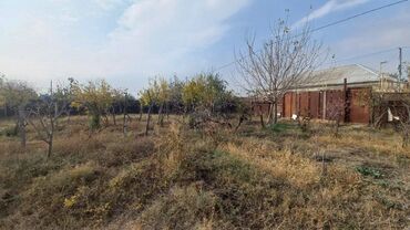 Torpaq sahələrinin satışı: 6 sot, Maklerlər narahat etməsin, Kupça (Çıxarış) — 7