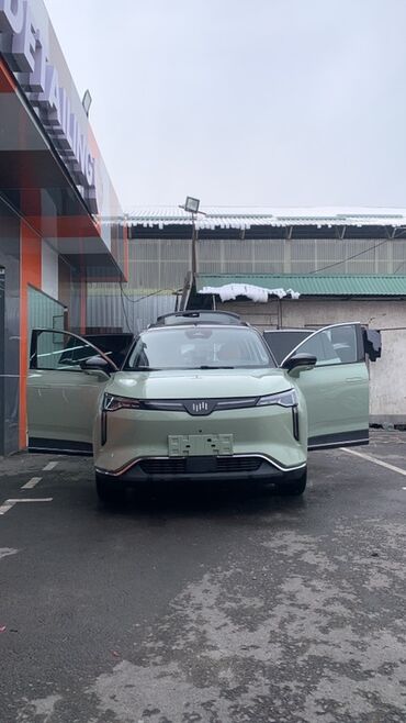 Weltmeister: Weltmeister W6, 2021 г., 71000 км, Передний, В наличии — 4