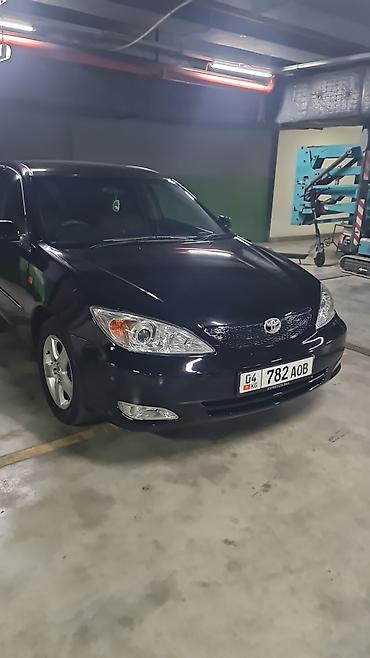 camry 2008: Toyota Camry: 2004 г., 2.4 л, Автомат, Бензин, Седан — 1