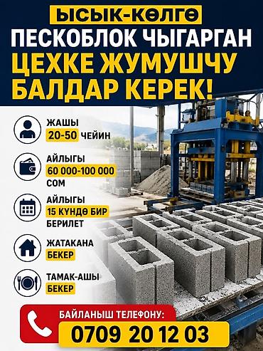 ЫСЫК-КӨЛГӨ ПЕСКОБЛОК ЧЫГАРГАН ЦЕХКЕ ЖУМУШЧУ БАЛДАР КЕРЕК Жашы 20-50 at lalafo.kg ЫСЫК-КӨЛГӨ ПЕСКОБЛОК ЧЫГАРГАН ЦЕХКЕ ЖУМУШЧУ БАЛДАР КЕРЕК Жашы 20-50