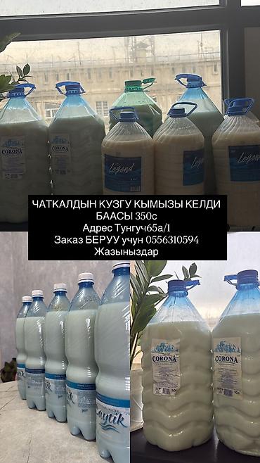 ош сантехник: ВАТСАПКА ЧАЛЫНЫЗДАР — 1
