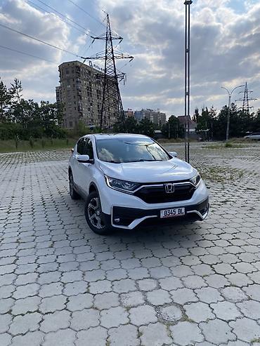 хонда crv 2019: Honda CR-V: 2019 г., 1.5 л, Вариатор, Бензин, Кроссовер — 1