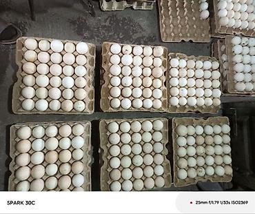 Уход за телом: ПРОДАЮ Мочалки . Ручная вязка, массажный эффект, легко пенится — 7