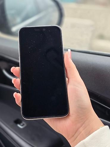 1250: IPhone 15 Pro Max, 256 GB, Gümüşü, Face ID — 1