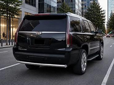 cadi: Защита заднего бампера Универсальный, Новый, Бесплатная доставка — 8