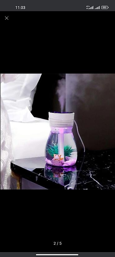 Увлажнители воздуха: Увлажнитель воздуха Brayer, Паровой, Настольный — 10