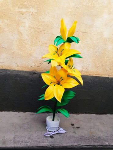 Другие услуги: Другие услуги — 11