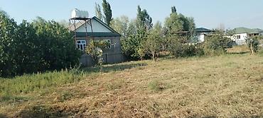 1 комната квартира снять: 2 комнаты, 80 м², Без ремонта — 8