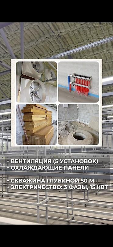 Продажа участков: 9 соток, Для строительства, Договор купли-продажи, Красная книга, Тех паспорт — 3