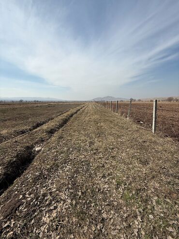 купить участок в кызыле: Айыл чарба үчүн, Техпаспорт, Үлүштүк катыш келишими
