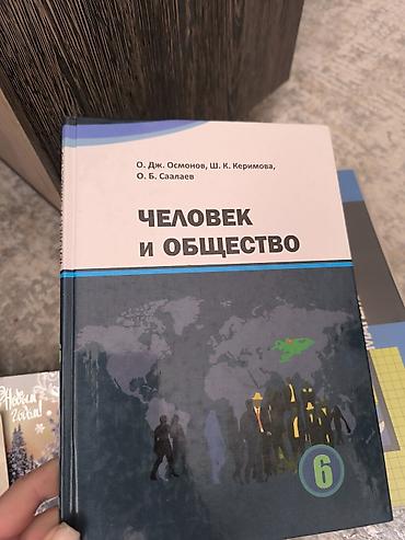 Русский язык и литература: Русский язык, 6 класс, Б/у, Самовывоз — 11