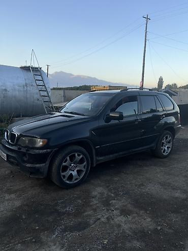 radiator kg: BMW X5: 2003 г., 3 л, Автомат, Дизель, Кроссовер — 4