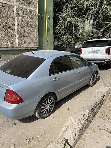 terrano 2: Toyota Corolla: 2004 г., 1.6 л, Механика, Бензин, Седан — 4