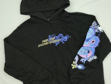 vans kurtka zimowa: House, Кофта з каптуром жіноча, розмір M