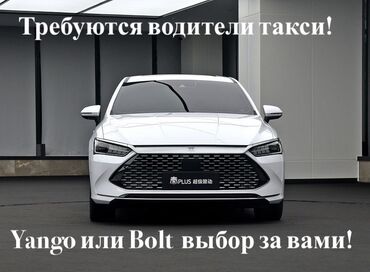 bakida iş elanlari 2023: Водитель такси требуется, Транспорт предоставляется, Еженедельно оплата, 3-5 лет опыта